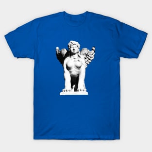 Sphinx / Swiss Artwork Photography T-Shirt